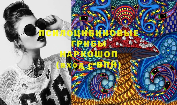 герыч Гусь-Хрустальный
