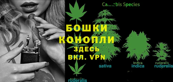 не бодяженный Гусиноозёрск