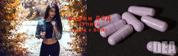 не бодяженный Гусев