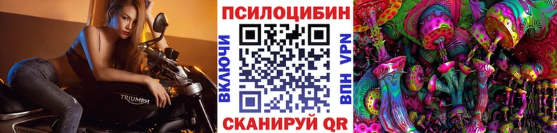 Галлюциногенные грибы Psilocybe  Тверь 